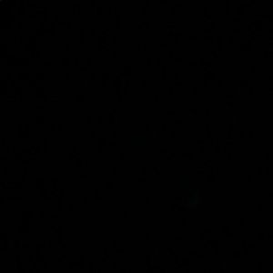 Meet your Posher, Carissa